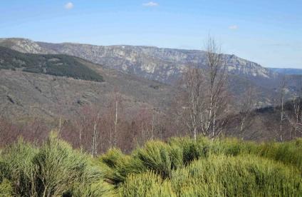 Versant sud du Mont Lozère