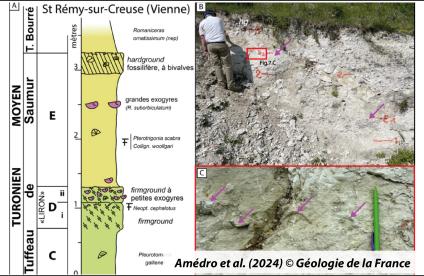 Fig. 7, Amédro et al. (2024). © Géologie de la France